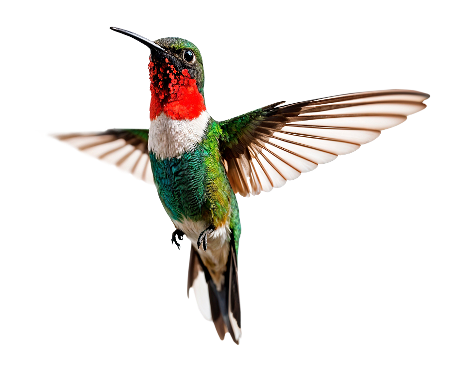 Nature-Inspired Living in Ras Al Khaimah